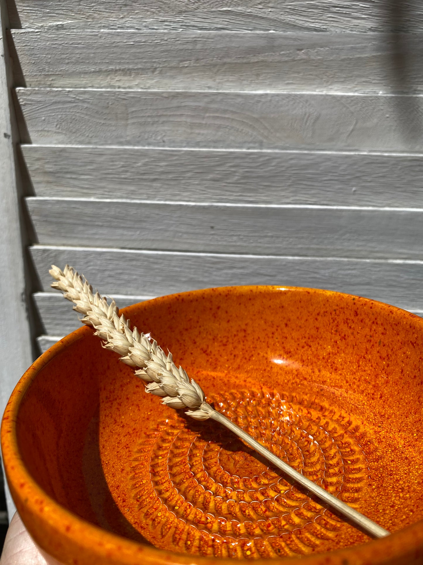 Rallador de ajo Medium - Mandarina